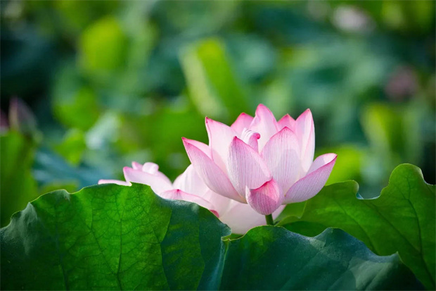 首页| 尊龙·Z6(中国集团)官方网站