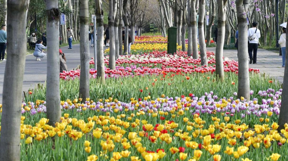 首页| 尊龙·Z6(中国集团)官方网站