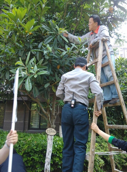 首页| 尊龙·Z6(中国集团)官方网站