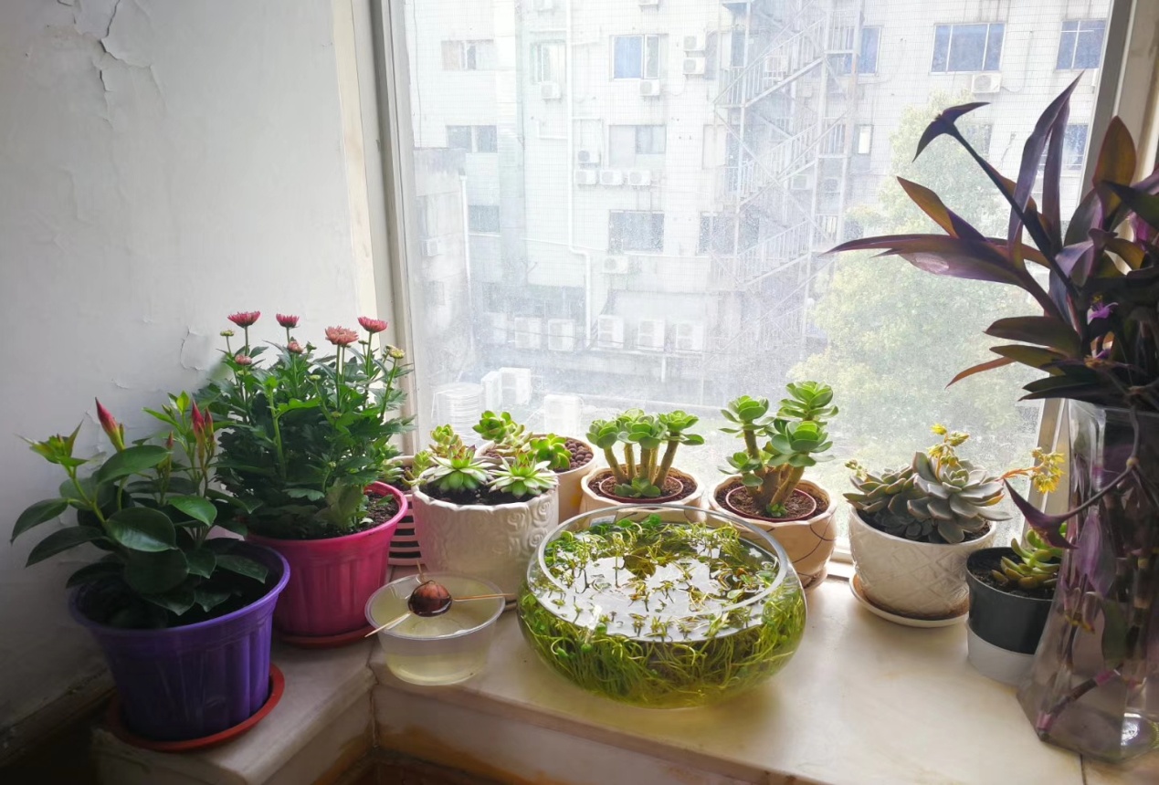 首页| 尊龙·Z6(中国集团)官方网站