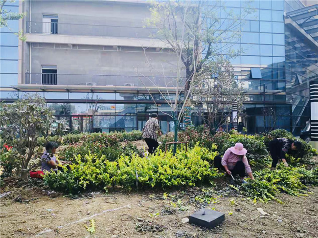 首页| 尊龙·Z6(中国集团)官方网站