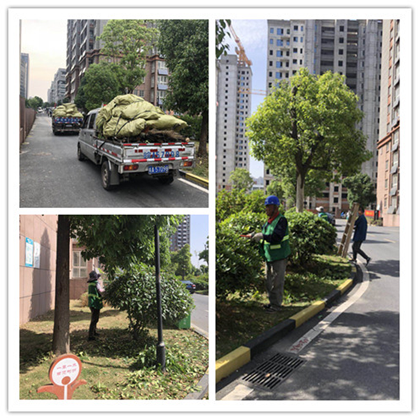 首页| 尊龙·Z6(中国集团)官方网站