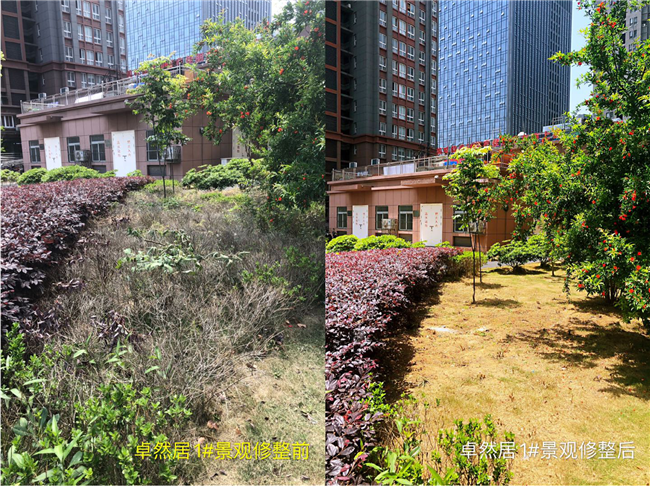 首页| 尊龙·Z6(中国集团)官方网站