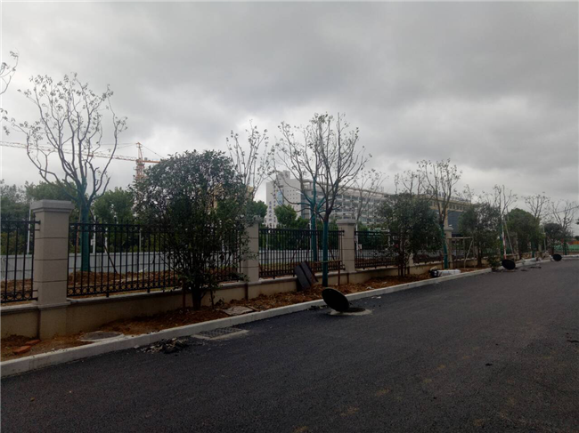 首页| 尊龙·Z6(中国集团)官方网站