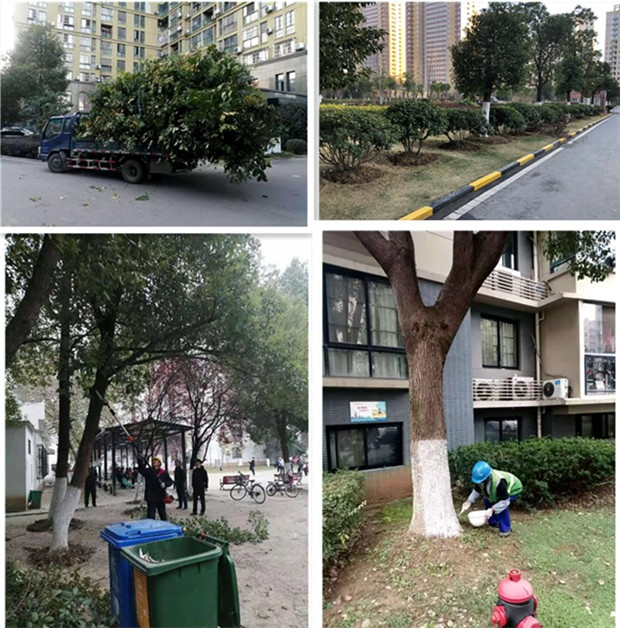 首页| 尊龙·Z6(中国集团)官方网站