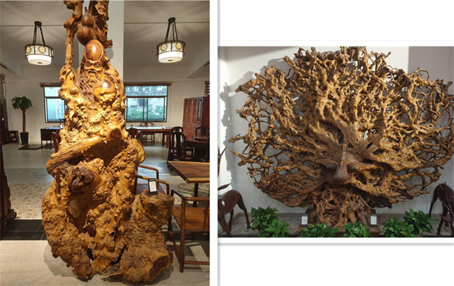 首页| 尊龙·Z6(中国集团)官方网站