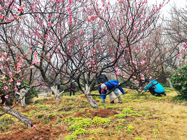 首页| 尊龙·Z6(中国集团)官方网站