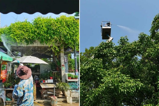 首页| 尊龙·Z6(中国集团)官方网站